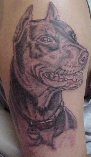 obrazek