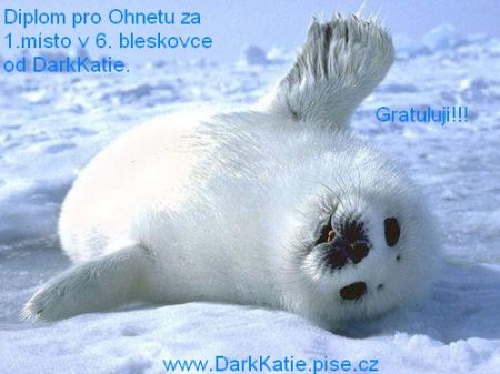 obrazek