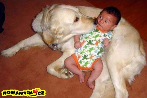 bojim, bojim...