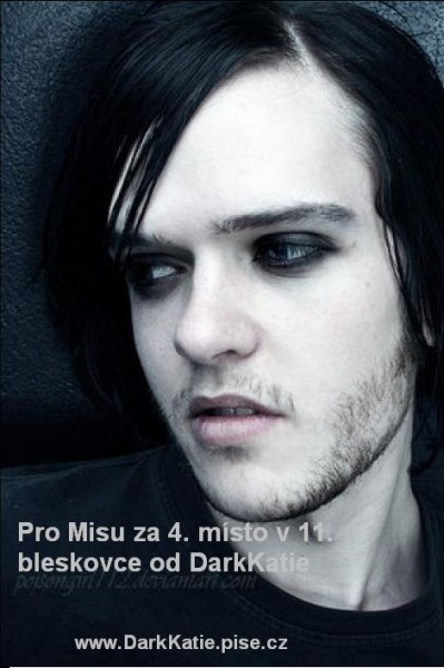 for michellin